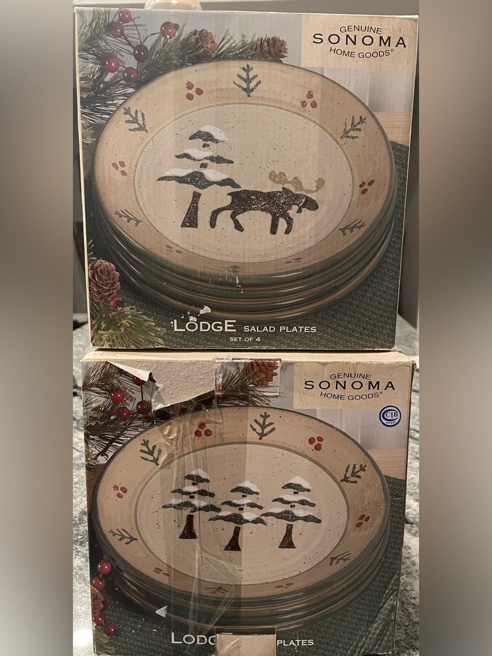 Sonoma Lodge Salad Plates Set - Beige, Green, Brown, Red